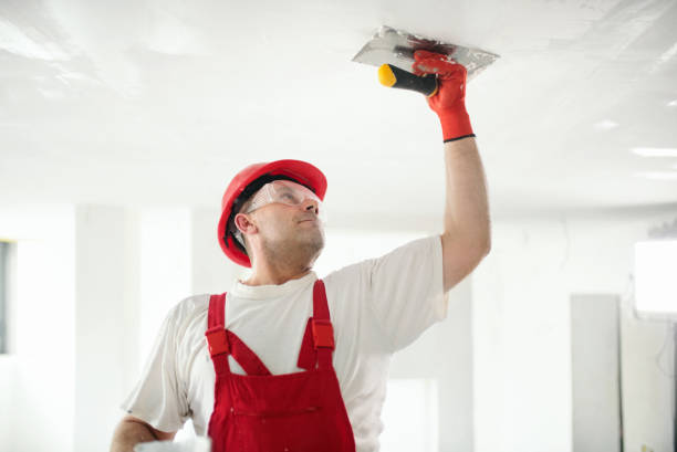 Best Drywall Installation  in Ohioville, PA